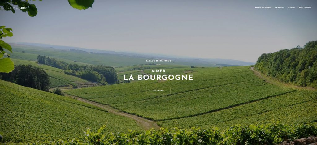 Le nouveau site Louis Jadot : sobriété au programme pour un contenu 100 % raisonné